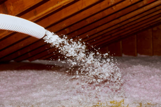 Best Energy Efficiency Insulation in Meridian, CO