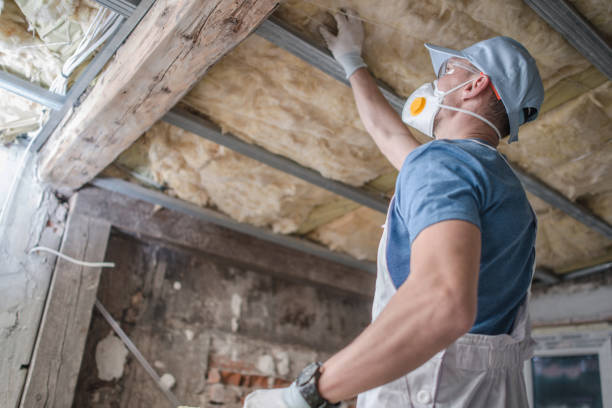 Types of Insulation We Offer in Meridian, CO