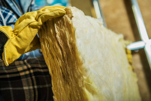 Best Specialized Insulation Services in Meridian, CO