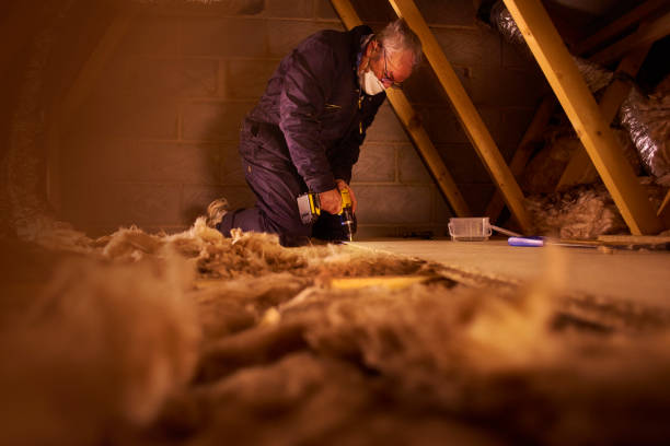 Best Commercial Insulation in Meridian, CO